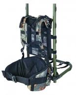 Pack Frame - 193