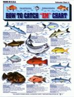Tightlines 00001 How To Catch Em - 00001