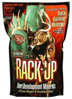 Evolved Rack-Up Deer - 46094