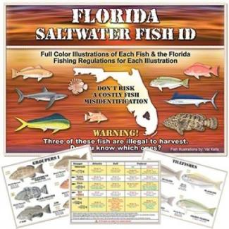 Florida Saltwater Fish Id - 9749091-7-3