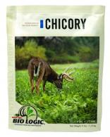 Chicory