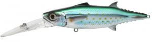 Spanish Mackerel - SMK110D981