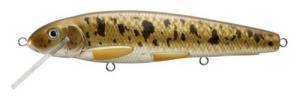LiveTarget Sucker Trolling Bait Floating 8-1/4" Red/Torrent - SKT210S129