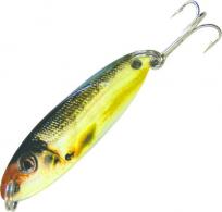 Acme SW10/GS Kastmaster Baitfish- - SW10/GS
