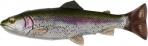 Savage Gear SPT-150-T 4D Splitfin