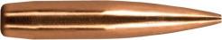 Elite Hunter Bullets