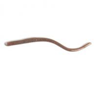 Roboworm Straight Tail Worm - SR-MJ9Y