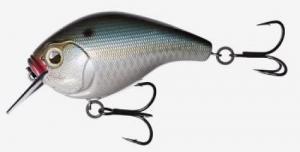 13 Fishing E-SC15-NL Scamp 1.5 - - E-SC15-NL