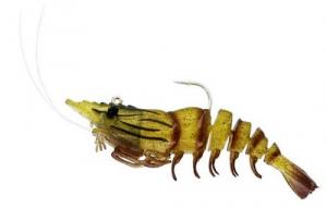 Salty The Shrimp R'N R 3ct Natural 3"