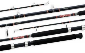 Daiwa Beefstick SW Series - BSS701MHS