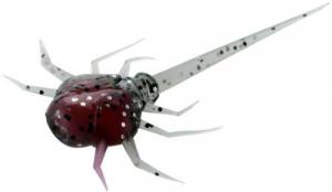 13 Fishing CC-CB "Coconut Crab"