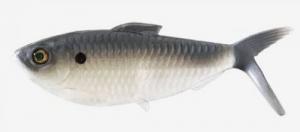 13 Fishing CB-DINE4.25-2 Dine -