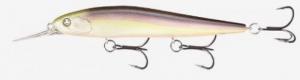 13 Fishing Loco Special Jerkbait 6-9' Regurgitated Shad