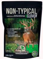 Non Typical Clove - 84110