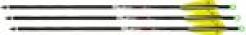 TenPoint Pro Elite 400 Alpha-Brite Lighted Arrows 20 in. Green 3 pk. - HEA-668.3