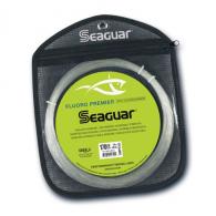 Seaguaryd Premier Big - 170FPC110