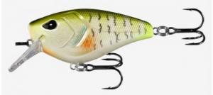 13 WARTHG SQUAREBLL 5' DREAM GILL