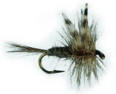 Jackson Cardinal Streamer