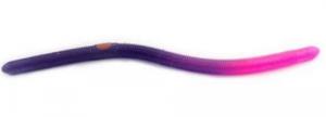 Kelly's Annealed Baits Firetail Worms 5.5" Purple