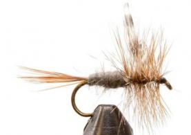 Jackson Cardinal 001-12 Dry Fly - 001-12