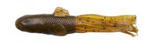 Savage Gear 3466 Ned Goby 2 3/4" - 3466