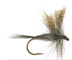 Jackson Cardinal 026-14 Dry Fly