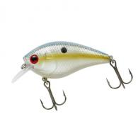 BYA XCS2-FOXY SHAD 2-3/4" - BYXCS291