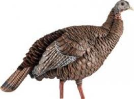 Avian-X HDR Hen Turkey