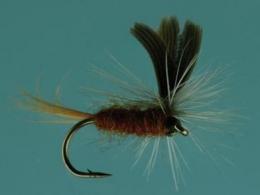 Jackson Cardinal Dry Fly #16 - 894-16