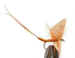 Jackson Cardinal 039-10 Dry Fly - 039-10