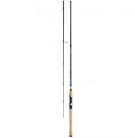 Daiwa AIRD COASTAL