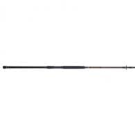 Squadron III Surf Spinning Rod 9' 2 Piece.