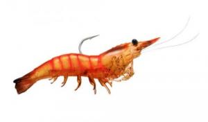 LiveTarget Live Shrimp Pink 3-3/4"