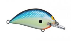 Northland Shallow Sunny Blue Chartreuse Shad 3/8Oz 1/Bo - SSB05-BCSD