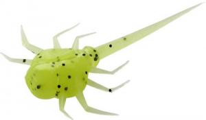 13 Fishing "Coconut Crab" Radioactive Pickle 6 pack