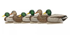 Avian-X Topflight Open - AVX-AVX8060