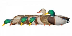Avian-X AXP Full Body - AVX-AVX8061