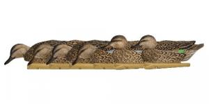 Avian-X Topflight Early - AVX-AVX8079