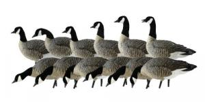 Avian-X AXF Geese - AVX-AVX9033