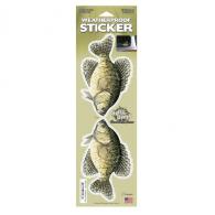 Salty Bones Decal, Crappie - SBPF2499