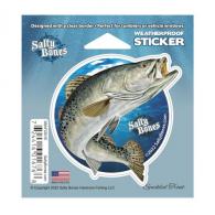 Salty Bones Sea Trout Tumbler Decal - SBAF2501E