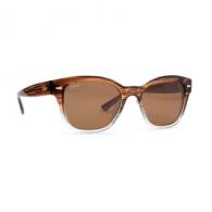 Calcutta Chica Polarized Sunglasses Sandstone Frame Brown - CC1SSBRN