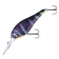 Bandit Walleye Shad - 3 - BDTWS4OL161