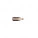 Match Burner Bullet .22 Caliber .224 Diameter - 1:8