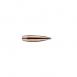 Ballistic Tip Varmint Bullets .224 Diameter 60 Grain Spitzer