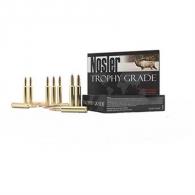Nosler Trophy Grade Ammo 300 Win Mag 180gr E-Tip 20/bx - NSL60075
