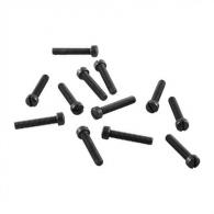 FILLISTER HEAD SCREW KIT - FILMS1032-1BO