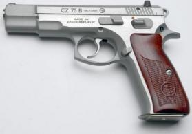 CZ 75 9MM MATTE SS COCO BOLO GRIPS TRITIUM NS - 91125 CZ 75 9MM MATTE SS COCO BOLO GRIPS TRITIUM NS - 91125
