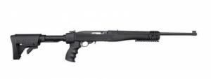 Ruger .22 LR  SEMI 10RD B - 01216R