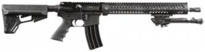 DSC MDM 556X45 NATO 16 HOG 30 - DSCR137 DSC MDM 556X45 NATO 16 HOG 30 - DSCR137